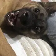 らんこママの画像