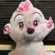 みやびの画像