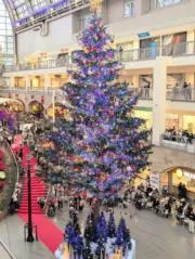 ‪ｃｏｚの画像