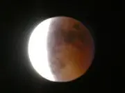 しん太の画像