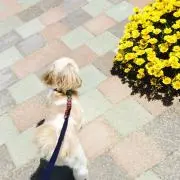 ♡健ママ♡