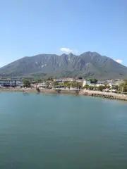 NaMiMi