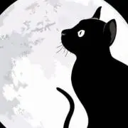 夜