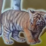 とらのすけ