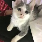 たいじゅ