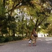 m.の画像