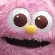pinoの画像