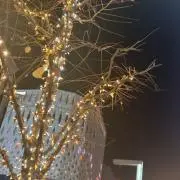 ゆきの画像