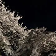 イーマの画像