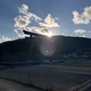 Tの画像