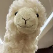 アルぱかお(^。^)の画像