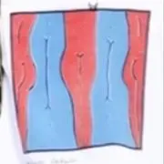 mjubkoooの画像