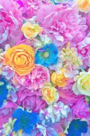 Carefree Daysの画像