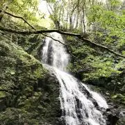 kinako67の画像