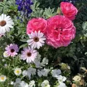うさぎ♡プロフ必読の画像