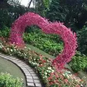 Soleilの画像
