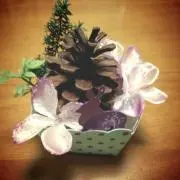 まつぼっくり