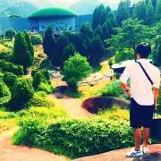 Aratakuの画像
