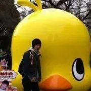 良品/当時品希少】遊戯王EXボックス開封済み(カード未開封