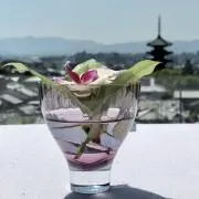多麻の画像
