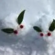 あお