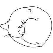 aiの画像