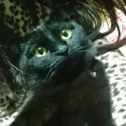 エト