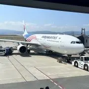 旅人の画像