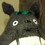 トトロ
