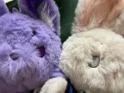 れっさの画像