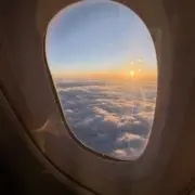 かーの画像