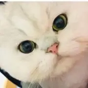 エミの画像