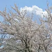 まぁ(ꕤ ॑꒳ ॑*)ノ