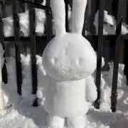 そら花の画像
