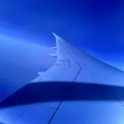 もん　グッズ整理中の画像