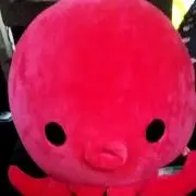 ドラこうの画像