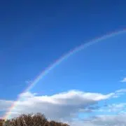 ニコロ