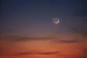 めろん  ⭐️希望価格登録大歓迎です❣️の画像
