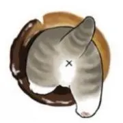 しょー