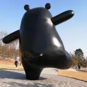 タカナリの画像