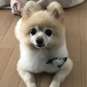Marco