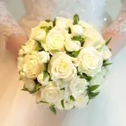 SHENの画像