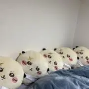 ゆわの画像