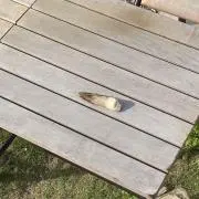 タケノコマン
