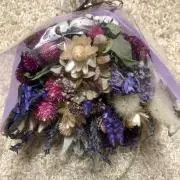 ハトシェ