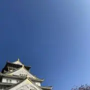 A.Mの画像