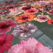 Wa＊24時間以内発送の画像