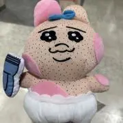 ぽんの画像