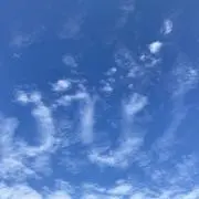 みーの画像