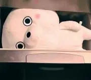 kikuichirou